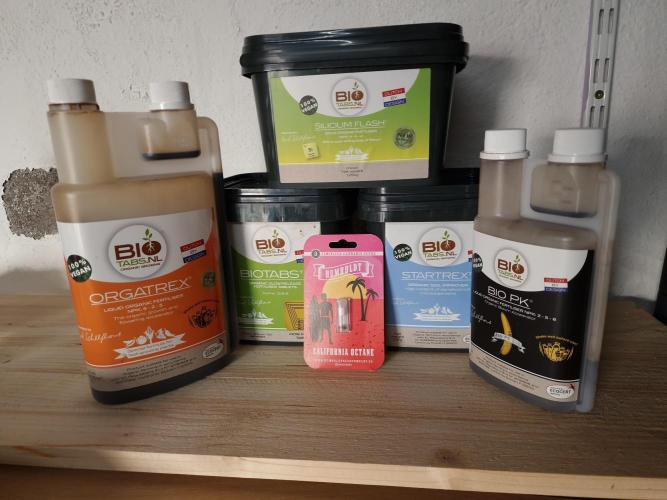 California Octane by HSC. Week 0