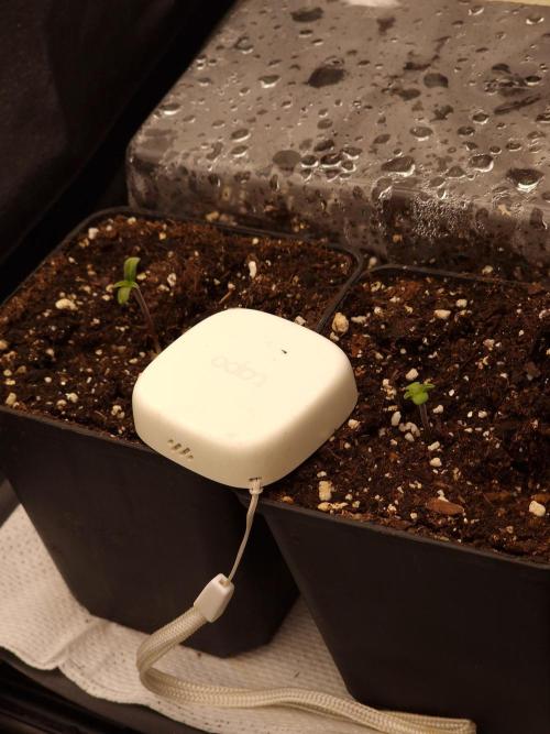 California Octane by HSC. Week 0