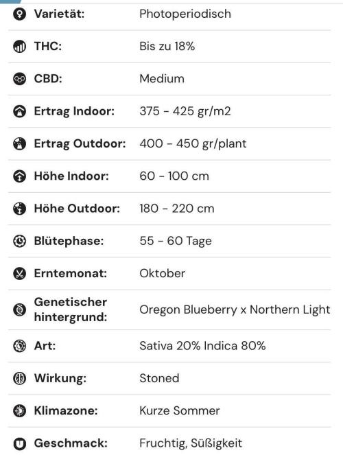. Week 10