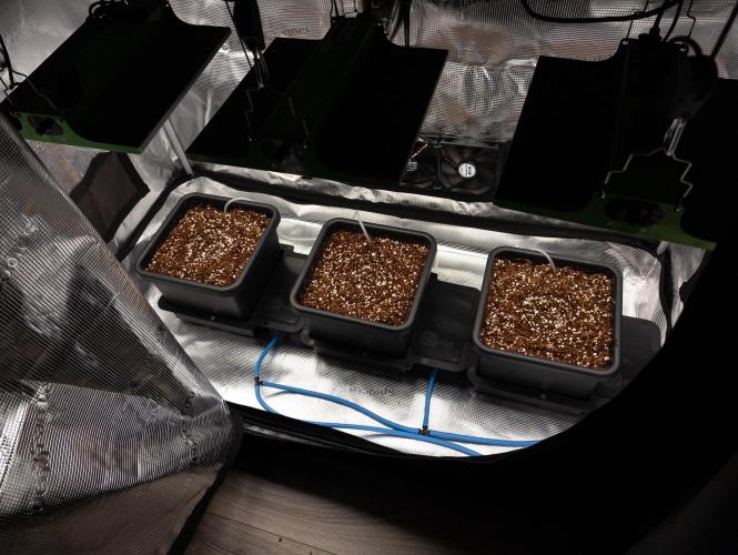 Epsilion F1. Week 0