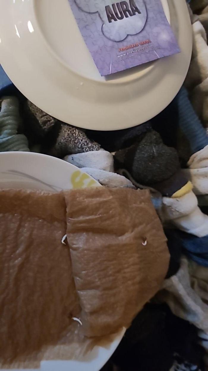 New Years Run. Week 0