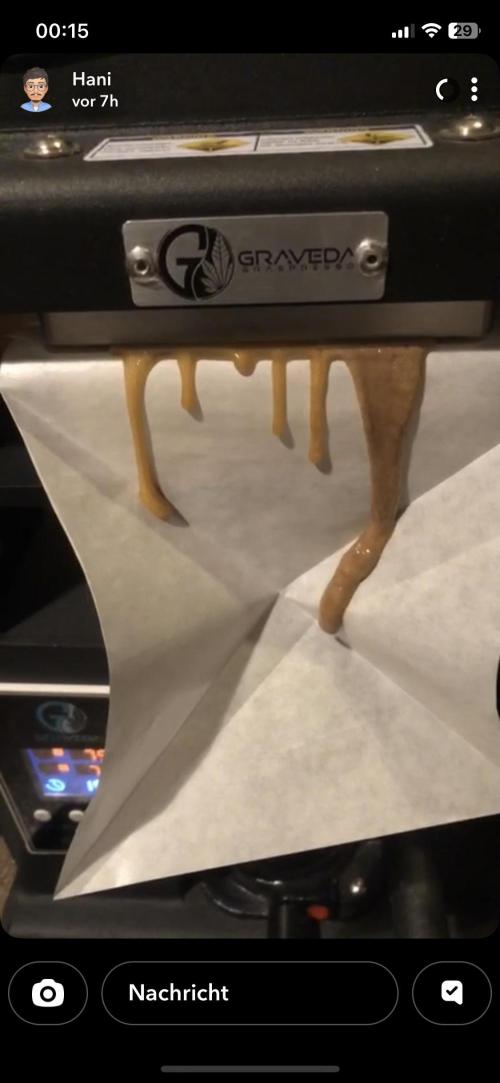 Bloom Hashrun. Week 30 - 45-90u