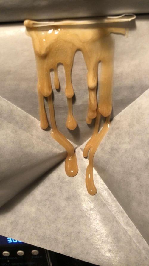 Bloom Hashrun. Week 30 - 90-160u