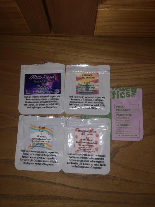 Phenohunt Raw Gen & Grounded Gen. Week 0