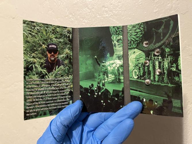 Insane OG and Dosido 33. Week 0