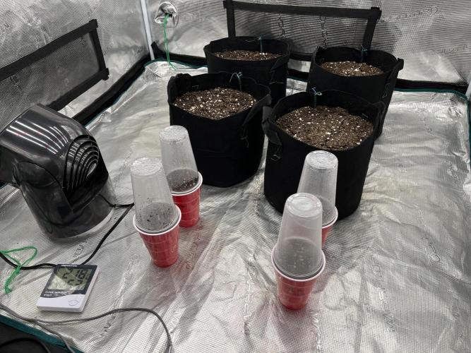 Insane OG and Dosido 33. Week 1