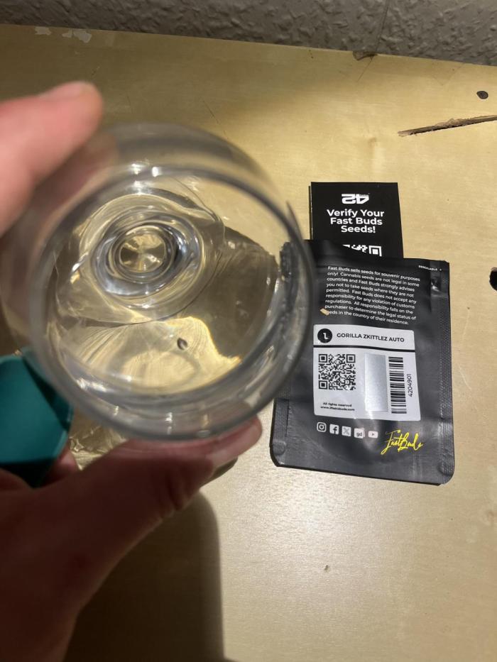 Gorilla Z Auto - FastBuds 420. Week 0