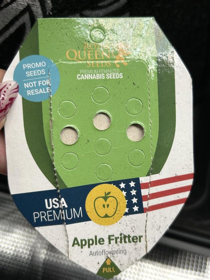 Apple Fritter / RQS. Week 0