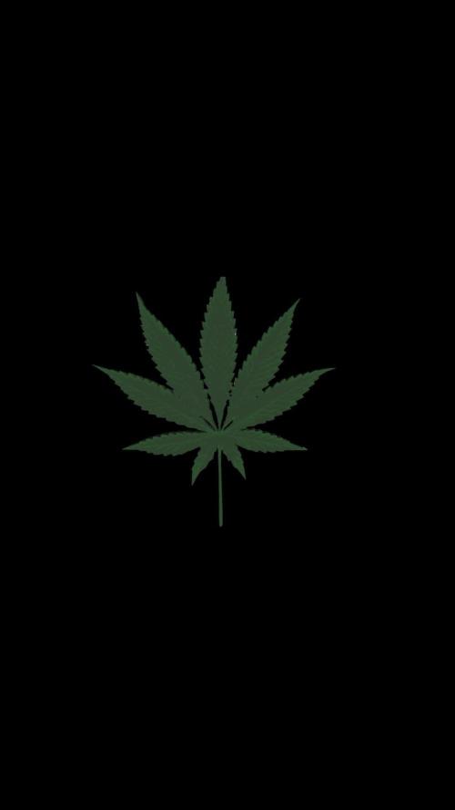 Auto Test FastBuds42 sponsored