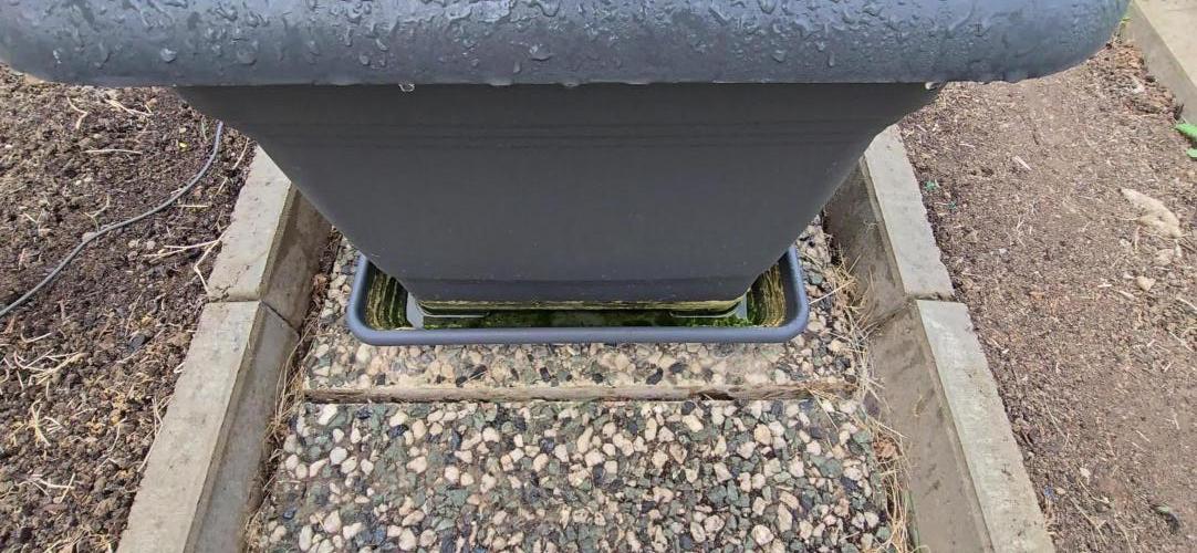 New Saison  2025 with Hilde  2.0