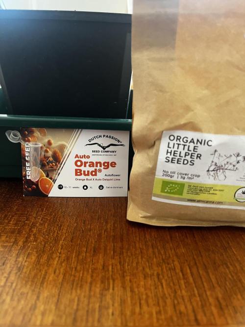 Bonus Seed Project: Orange Bud Micro. Week 0