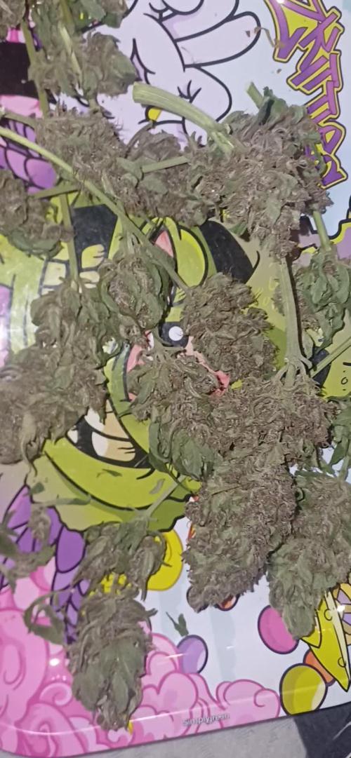 Banana purple punch