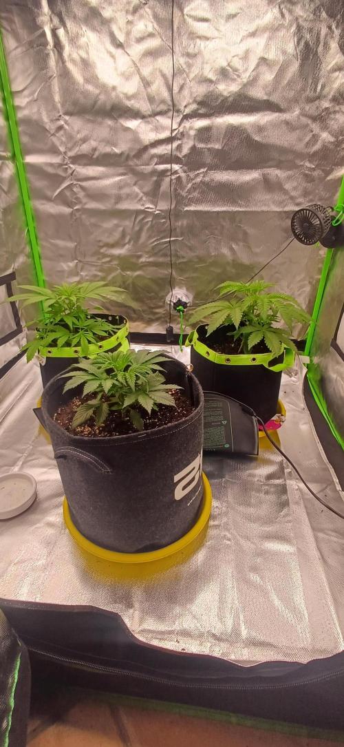 Nuovo diario 2025/2026. Week 4