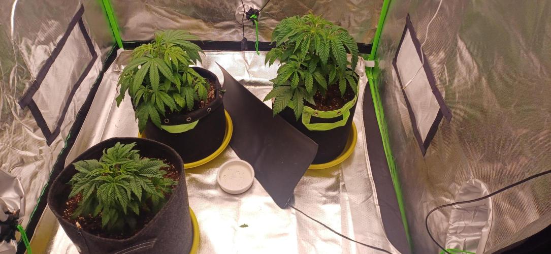 Nuovo diario 2025/2026. Week 5