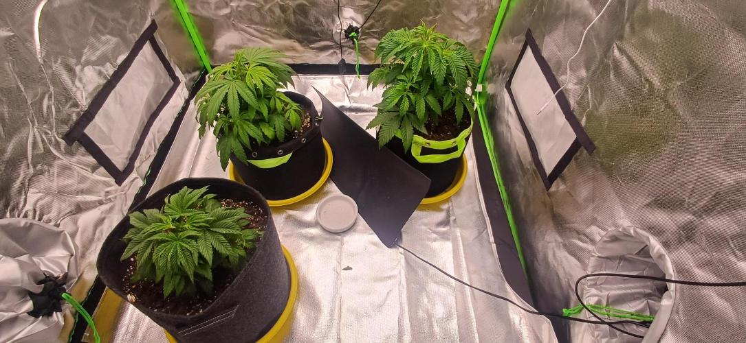 Nuovo diario 2025/2026. Week 5