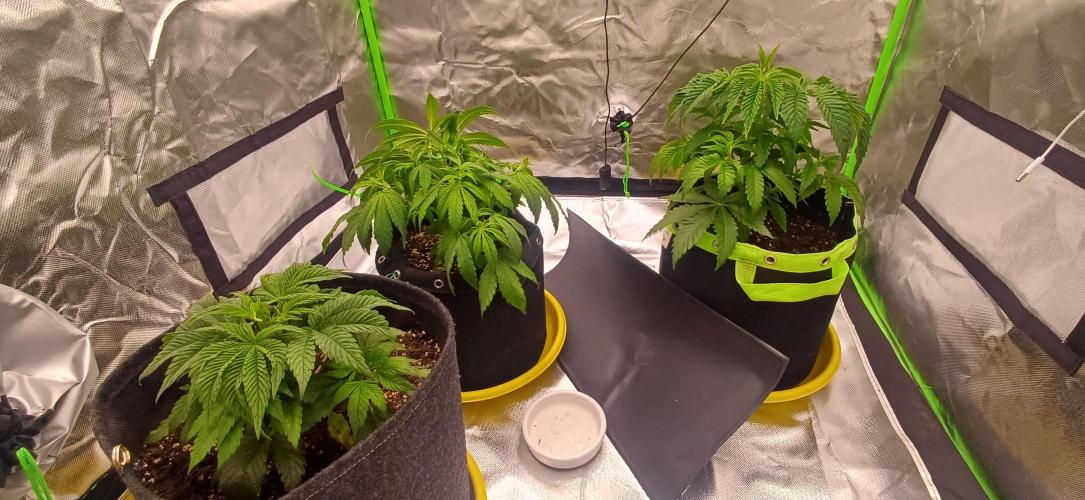 Nuovo diario 2025/2026. Week 5