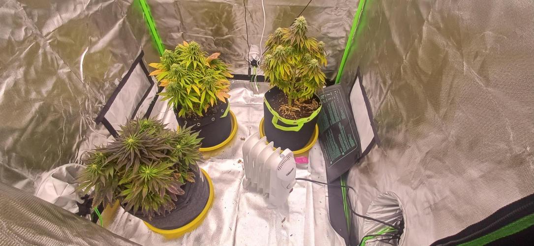 Nuovo diario 2025/2026. Week 8