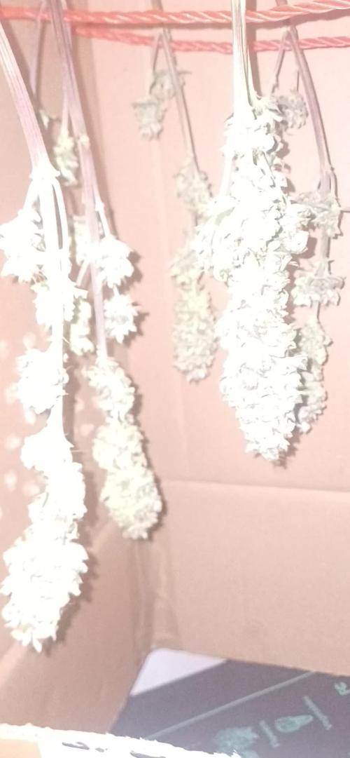 Nuovo diario 2025/2026