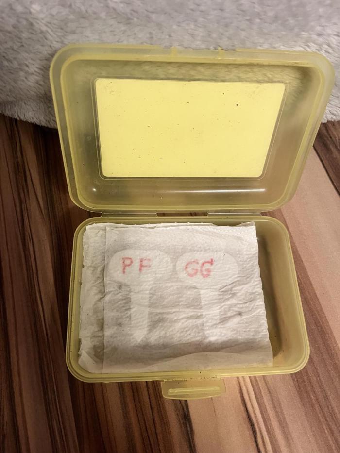 Grandiflora Guava vs. Papaya Frosting. Week 0 - Each Strain 2 Seeds in a Box.
Stored Dark at 22 degree Celcius 

