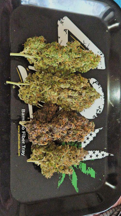 Lemon Cherry Cookies. Week 13