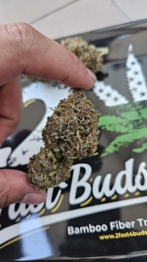 Gorilla Punch. Week 13