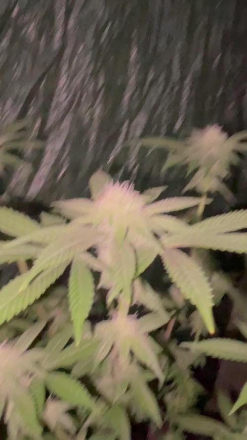 Primera del año! Nos ponemos serios!