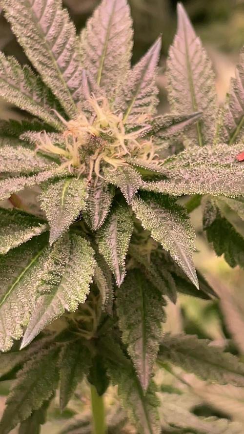 Primera del año! Nos ponemos serios!