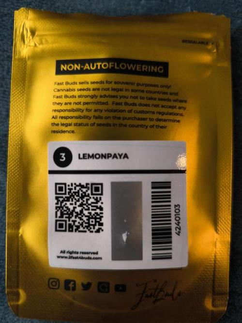 Lemonpaya - FastBuds. Week 1