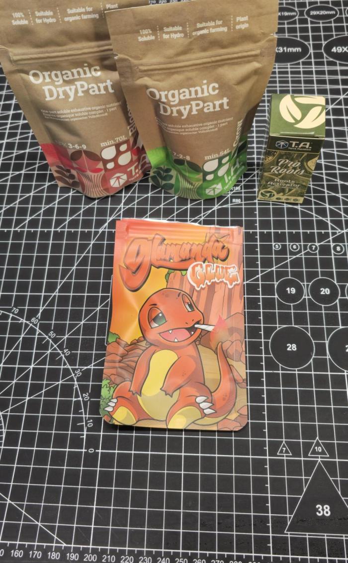 Glumanda Glue test grow. Week 0