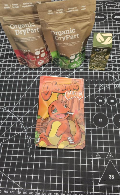 Glumanda Glue test grow. Week 0