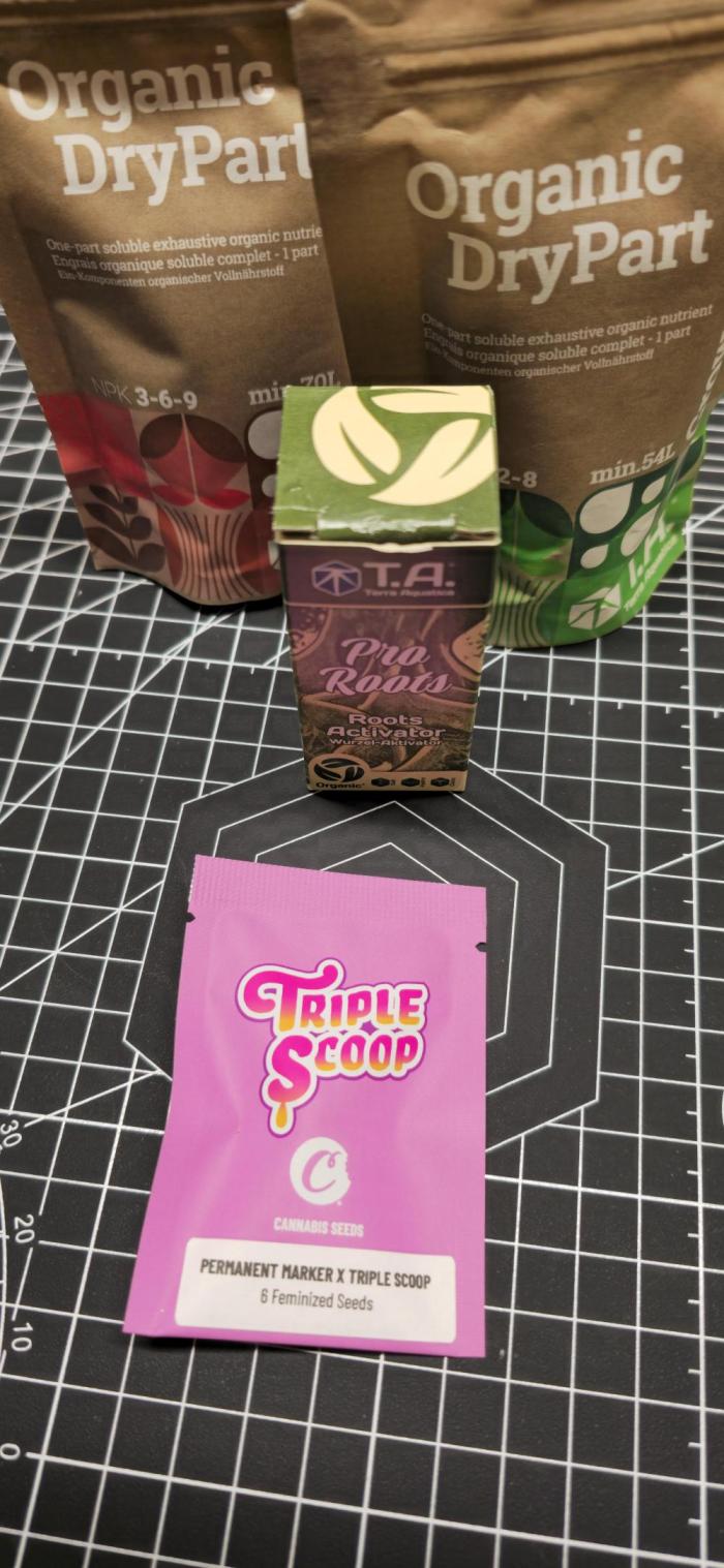 Cookies mit Beigeschmack. Week 0