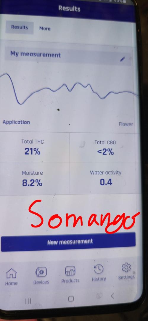 Somango seed supplier test. Week 9