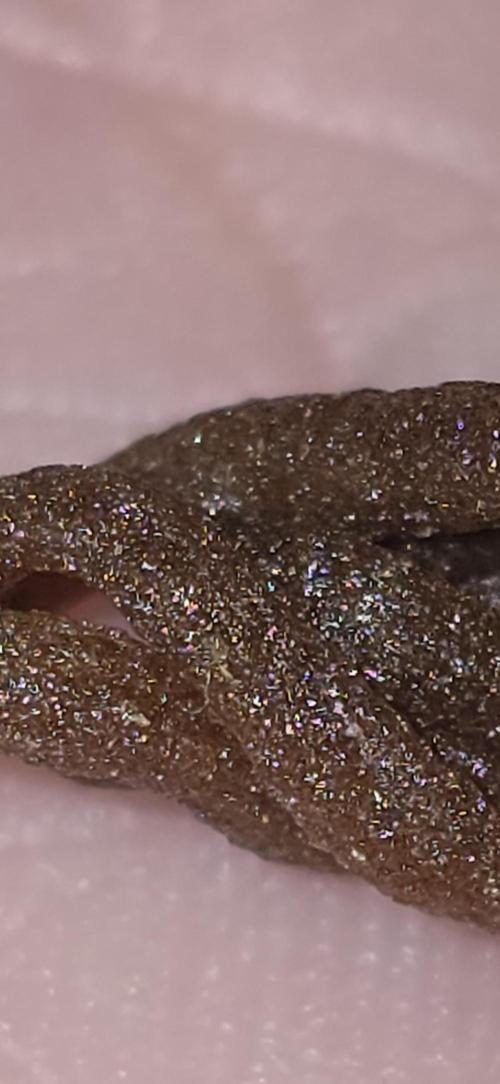 Bb muffin T.A growstream Athena. Week 11