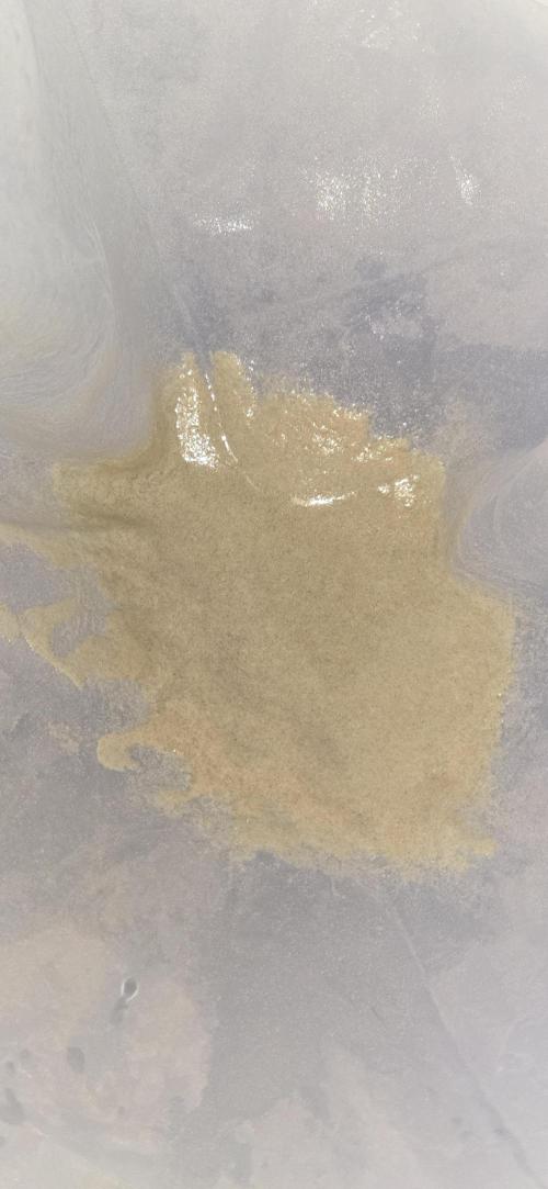 Somango seed supplier test. Week 9