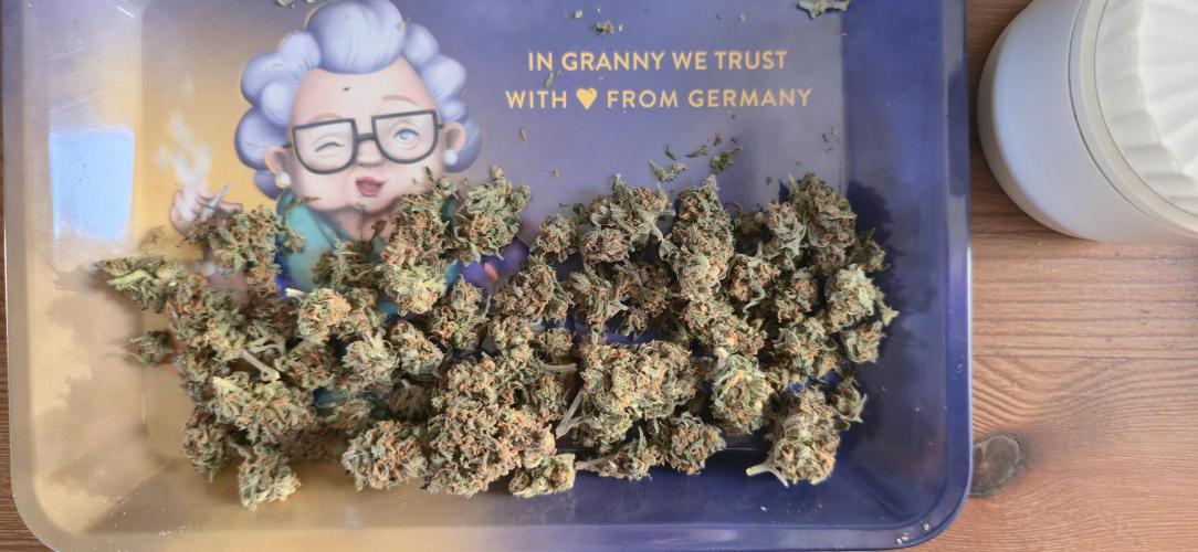 Skunkman Sam. Week 9