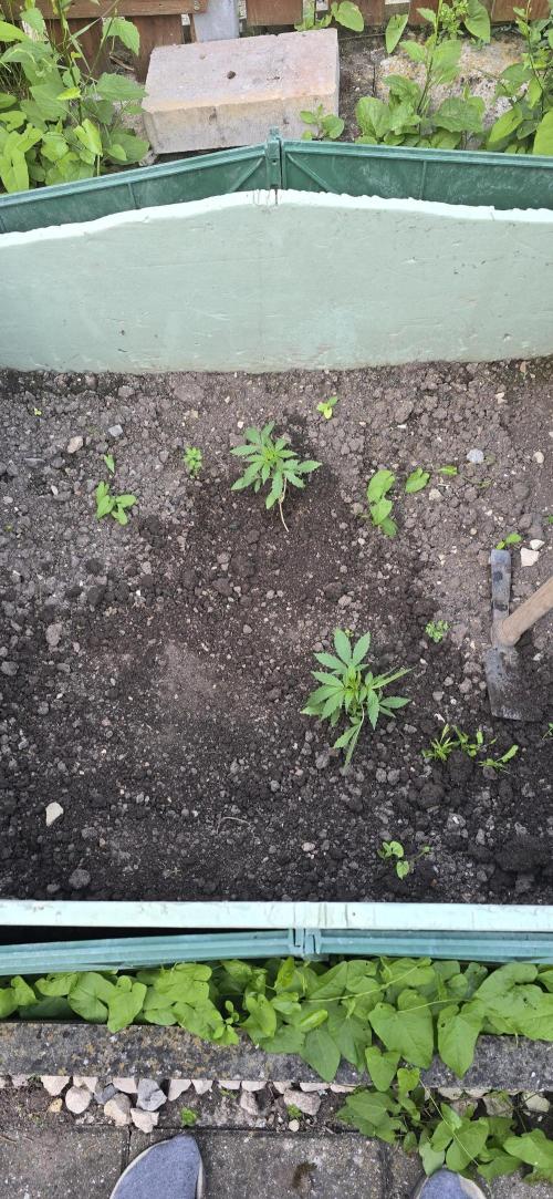 Outdoor automatics. Week 4