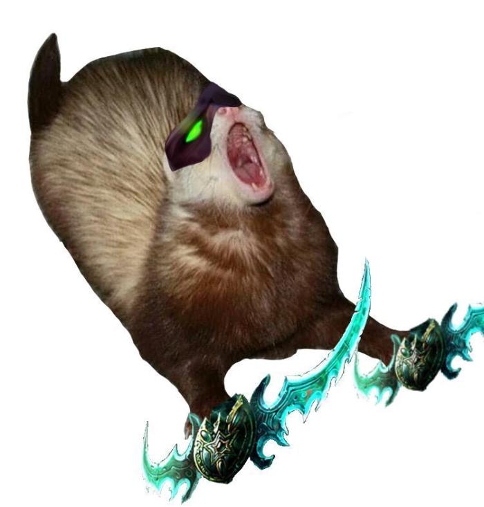 GSC - Girl Scout Cookies Cali Connection. Week 0 - temporary image, i don't have a picture of them germing