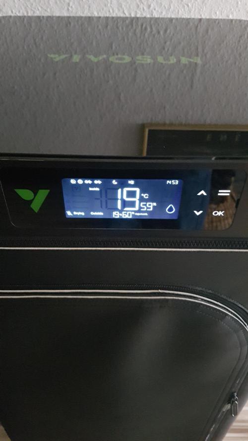 Auto Pablo Escobar Divine Seeds. Week 11