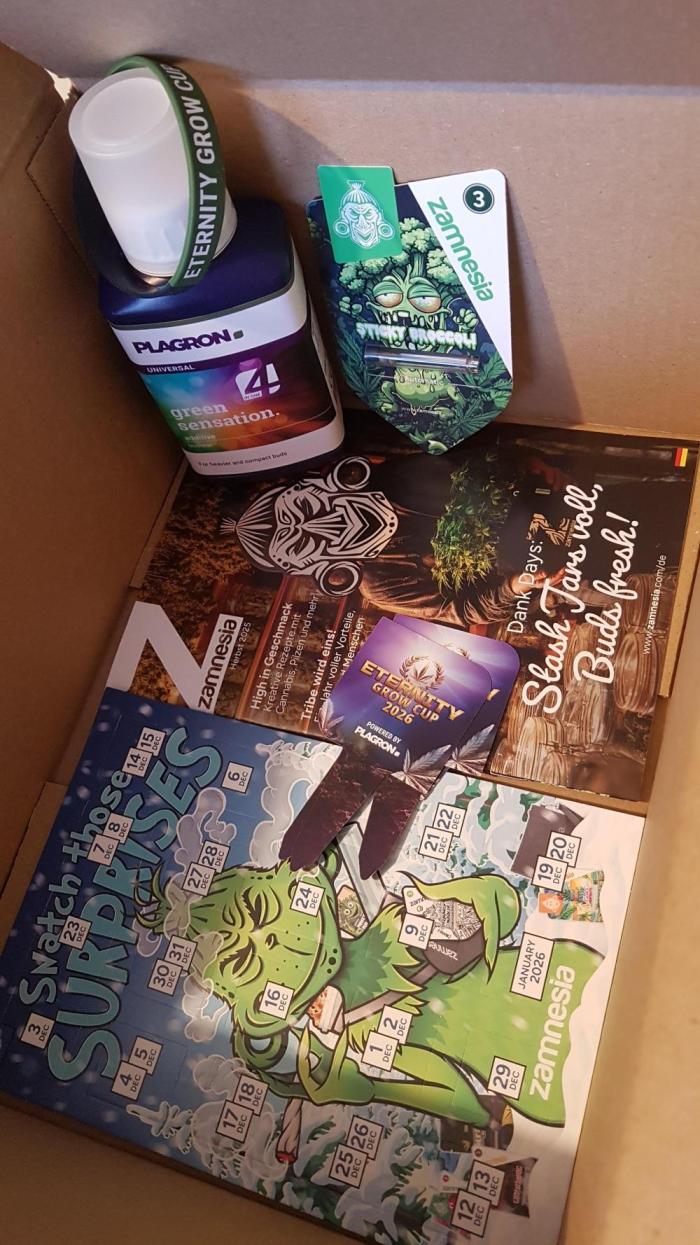 Eternity cup 2026. Week 0