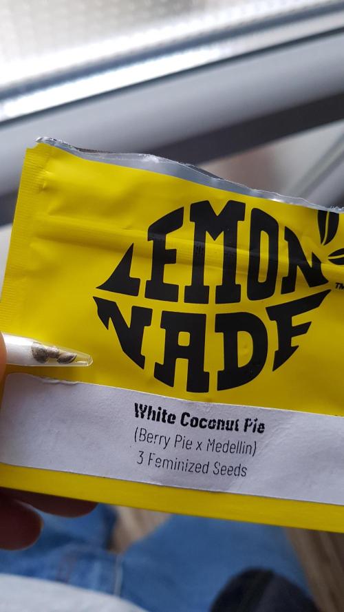 White coconut pie. Week 0