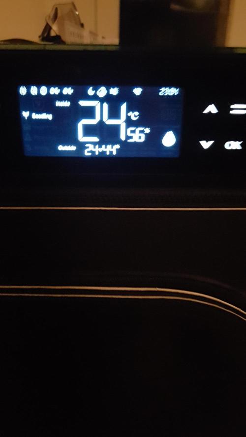 White coconut pie. Week 2