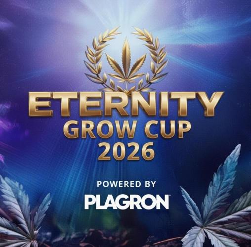 Eternity cup 2026. Week 3