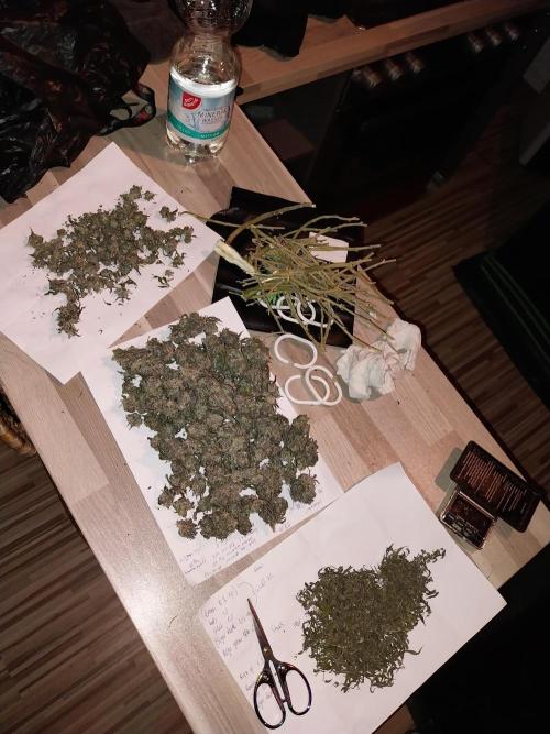 Gmo x Rootbeer. Week 15