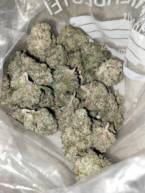 Gmo x Rootbeer. Week 15