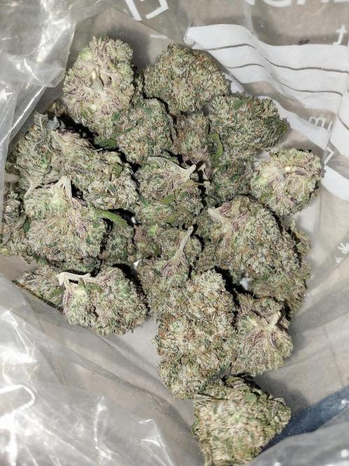 Gmo x Rootbeer. Week 15