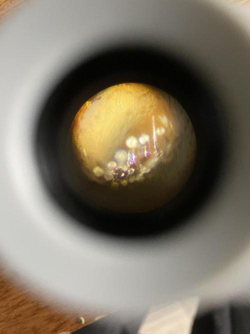 Divine Seeds Auto Black Opium #2. Week 11