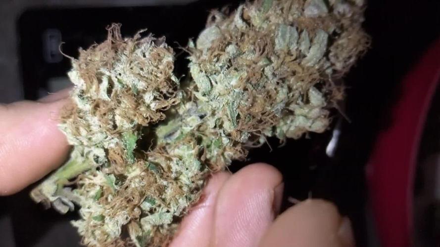 Divine Seeds Auto Moon Rock