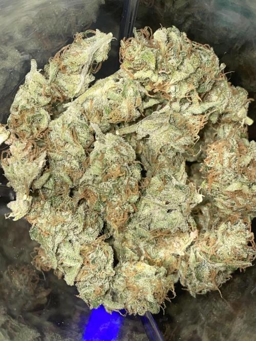 Divine Seeds Auto Fractal. Week 13 - 2°harvest