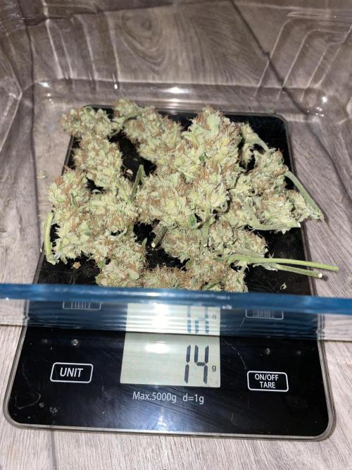 Divine Seeds Auto Moon Rock. Week 13 - 2° harvest