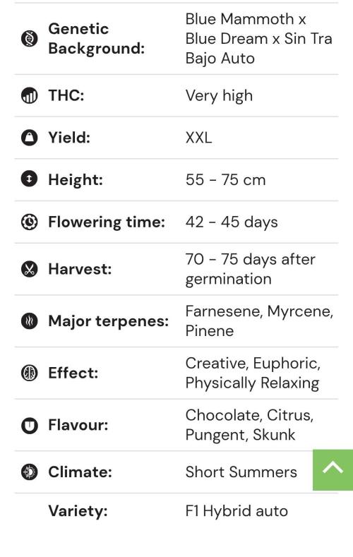 🛸Milky Way F1 RQS🦁. Week 0